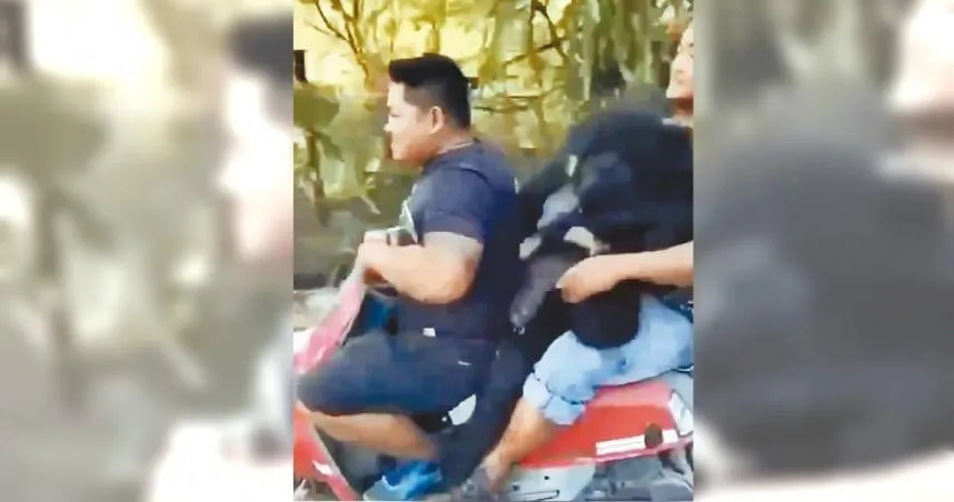 屏東9獵人槍殺4黑熊！一審全判無罪