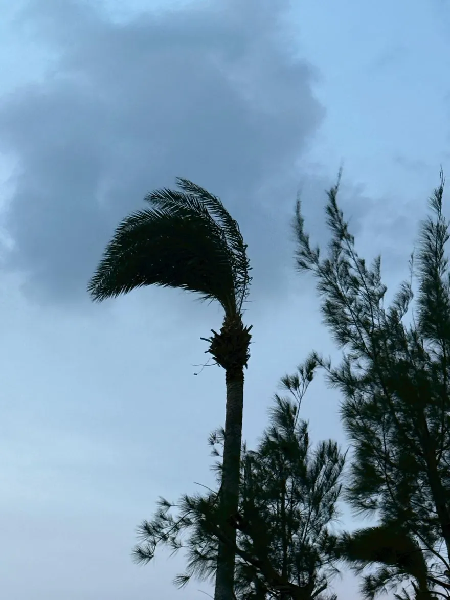 強烈東北風來襲！4縣市發布黃色燈號警報　恐出現8級陣風
