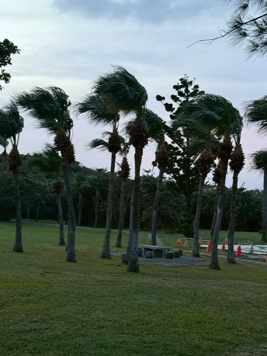 「陸上強風特報鄉鎮燈號」12月上路　烏坵每年強風吹243天