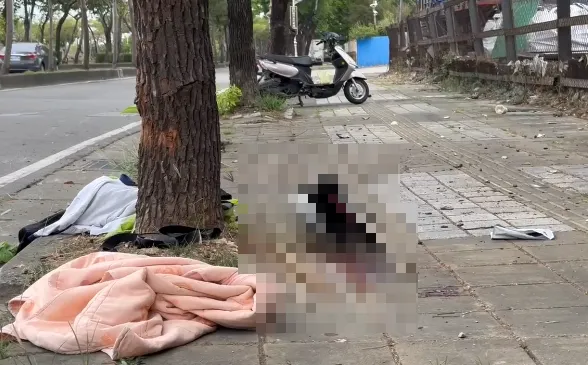 台中霧峰清晨車禍！騎士自摔「撞樹」頭破血流　傷重不治