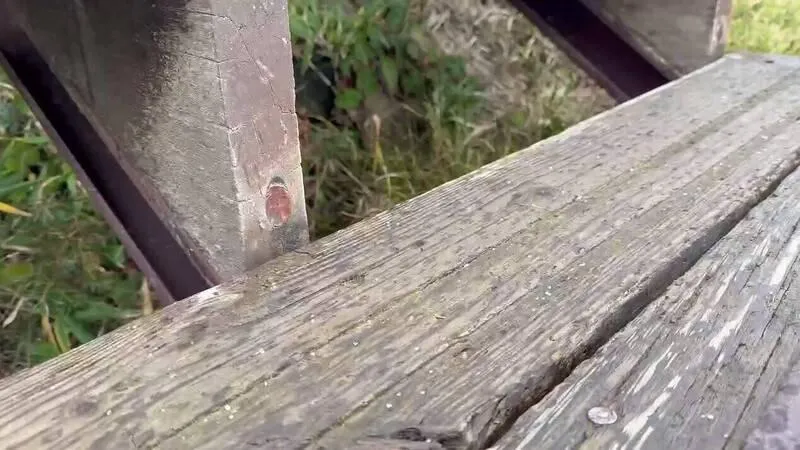 影/東北季風驚喜！冰霰降臨南投合歡山　遊客幸福邂逅