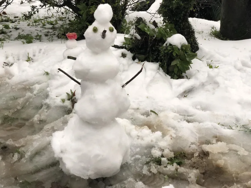 週三轉濕冷！中部以北高山降雪機率增　低溫下探13度