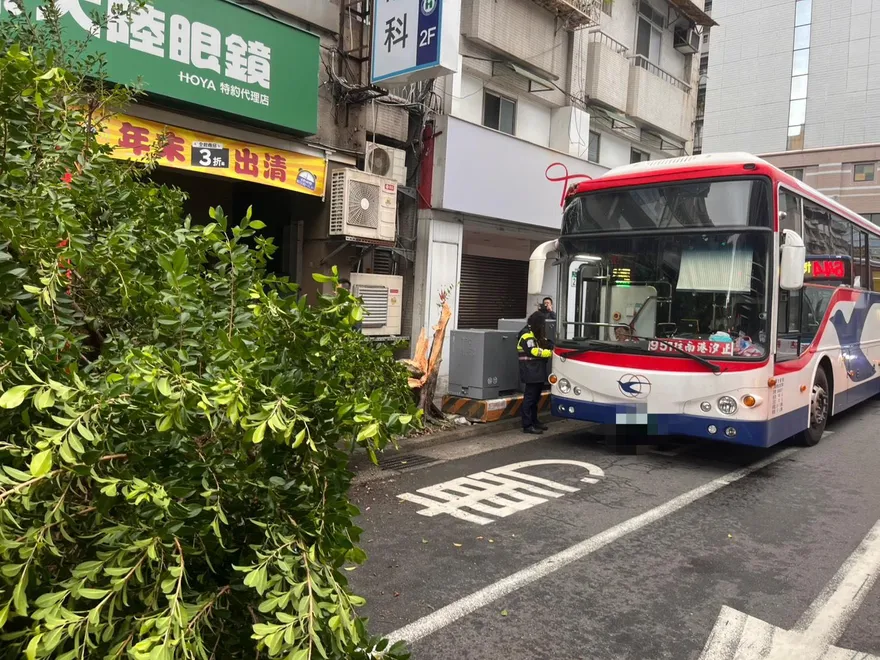影/新店公車連2天出事！高速撞斷路樹　車上滿是乘客狂尖叫