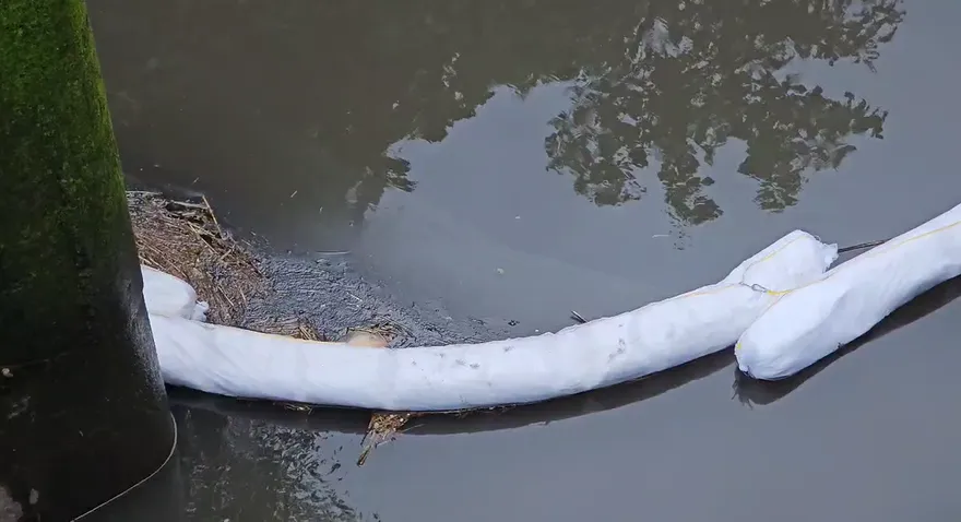 找到了！基隆「水油污染源」曝光　疑來自碇內溝渠