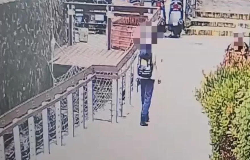 影/高雄62歲男獨登壽山失聯17天！　警消持續搜救中