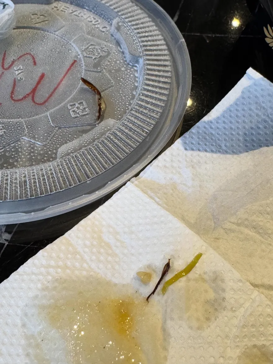 喉嚨吐出蟑螂腳！他麵吃一半崩潰　台南衛生局急稽查