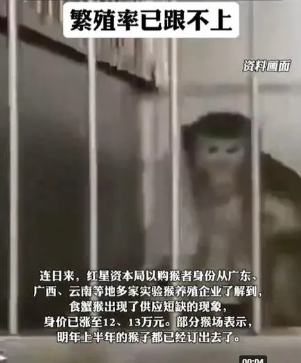 陸醫藥研發掀「搶猴大戰」　實驗猴價格每隻飆破57萬