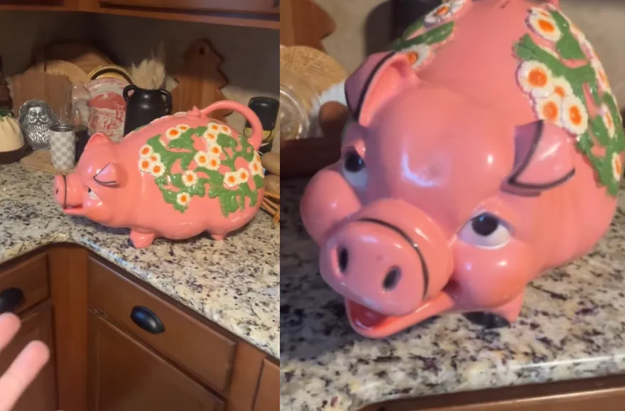 影/二手店尋到寶！美女子百元購入怪異撲滿竟藏鉅款陷兩難