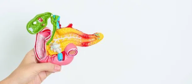 術前化療結合擴大切除　胰臟癌提高存活率