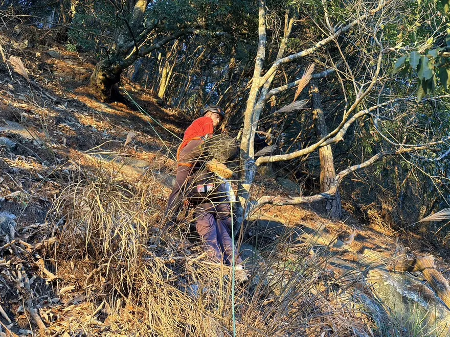 影/4人攀東卯山抄捷徑釀禍　69歲婦墜落30米骨折幸獲救