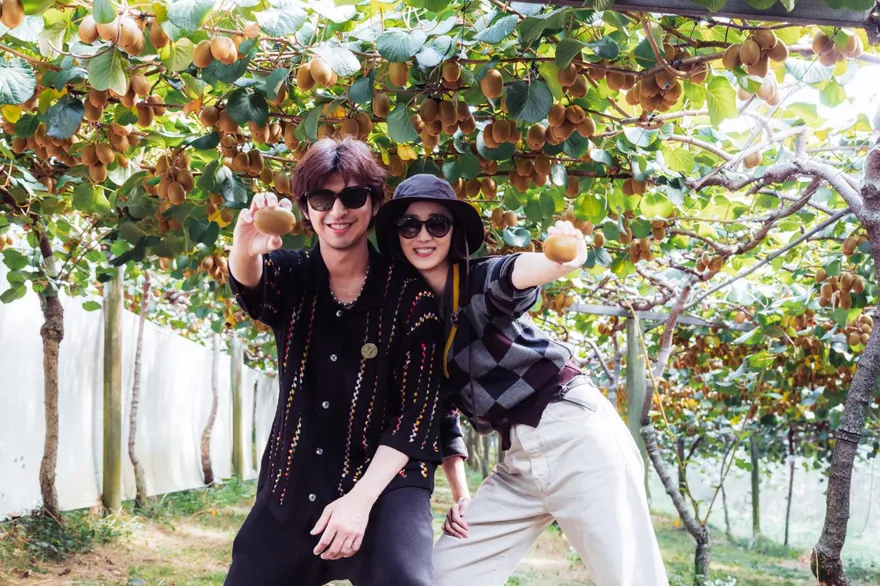 桂綸鎂摘奇異果突喊「好像懷孕了」　笑曝真相：重到難走路