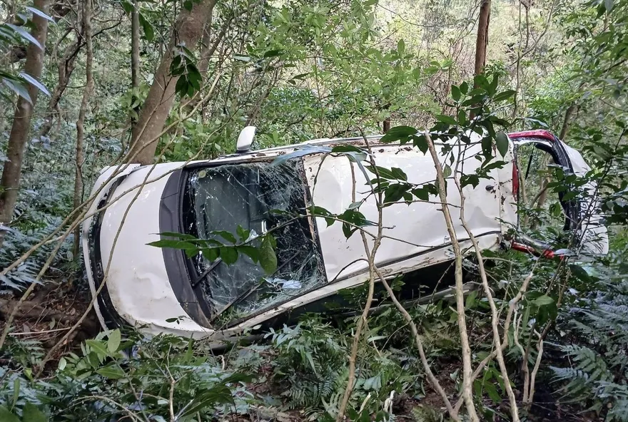 影/新北瑞芳轎車墜落山谷　女駕駛受困警消急救援