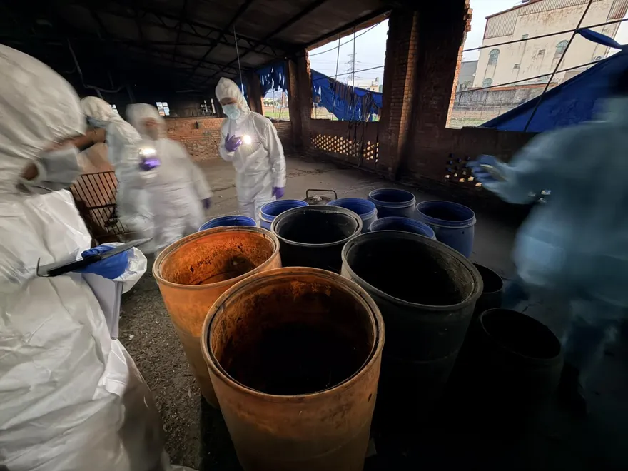 台中龍井養豬場「違規廚餘養豬」　業者遭重罰400萬