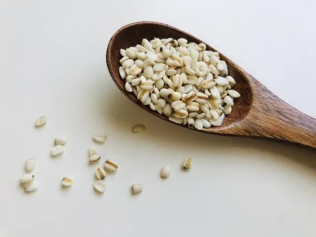 紅薏仁勝白薏仁！連食8週降三酸甘油酯　脂肪肝獲改善