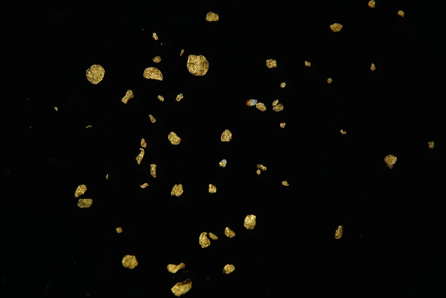 影/20年前LG冷氣機鑲「金LOGO」　消費者成功變賣換現金