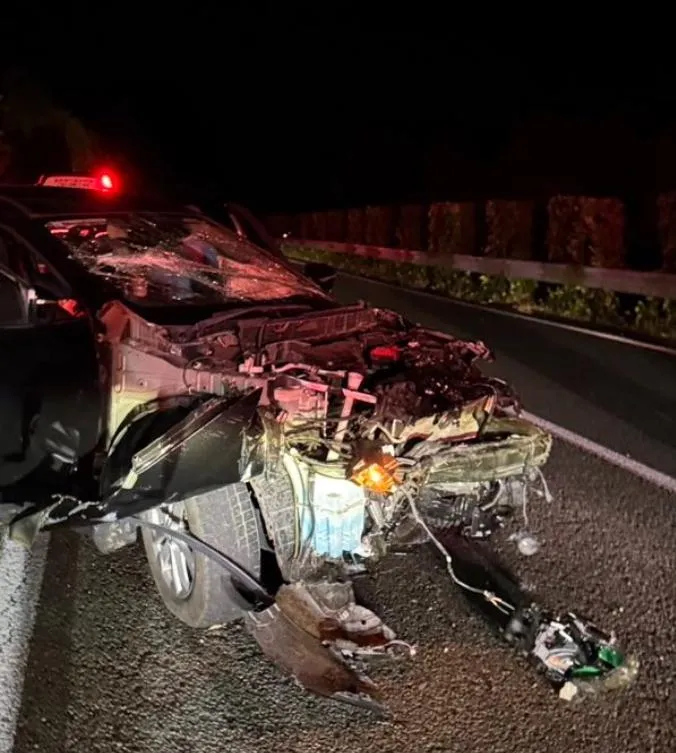 日人氣偶像為閃鹿失控自撞車頭全毁　關鍵時刻靠iPhone救命