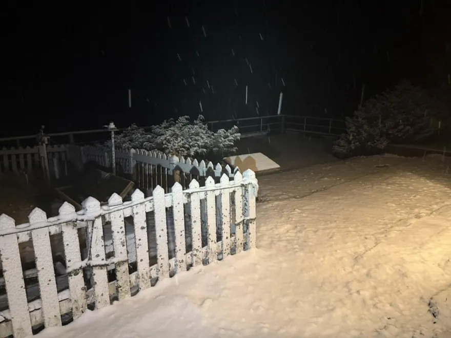 影/玉山下雪了！清晨積雪2.5公分　夢幻銀白世界曝光