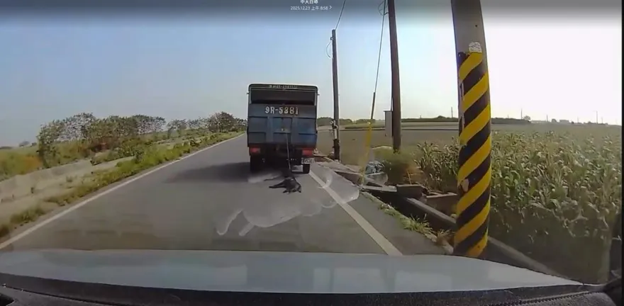 影/以為是黑網！雲林產業道路見狗遭拖行　熱心駕駛追車提醒