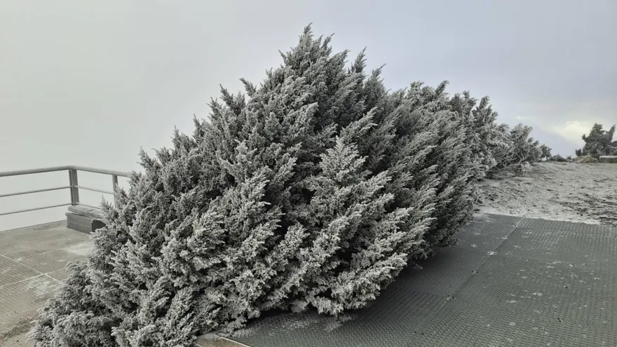 跨年恐迎強烈冷空氣！颱風論壇打臉「暖冬說」：別早下定論