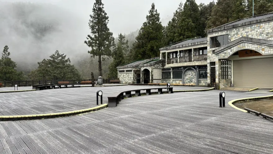 影/宜蘭太平山降冰霰！地面如灑糖霜　民眾衝上山賞景