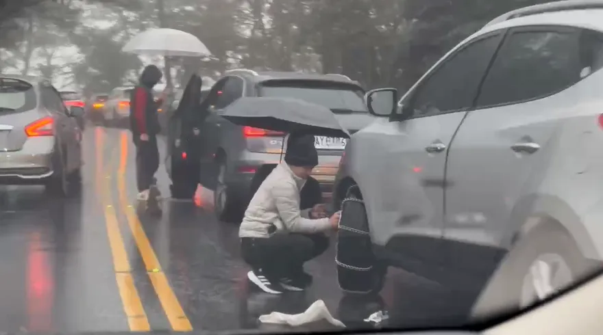 影/合歡山追雪！一堆車輛半路才裝雪鏈　釀堵塞7公里