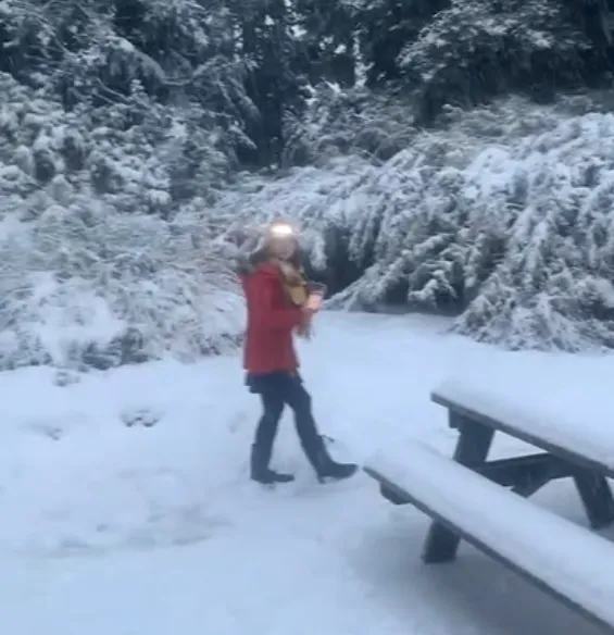 跨年賞煙火先到上風處卡位！2波冷高壓接力北東濕冷