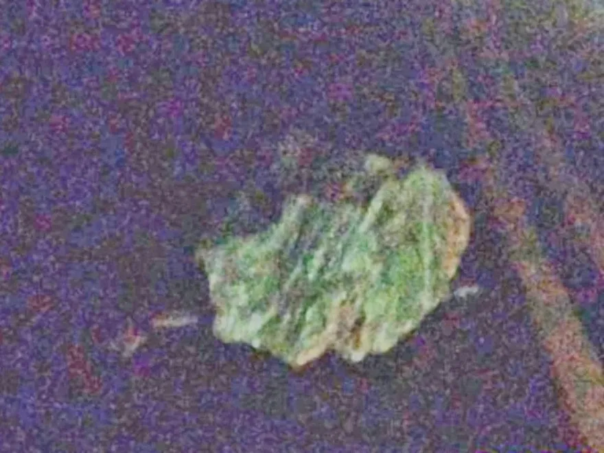 宜蘭外海7.0強震震撼全台！蘇花公路多處落石封閉