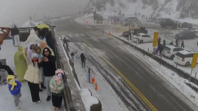 路面結冰恐打滑！台14甲線武嶺至松雪樓12/28下午5時起雙向封閉