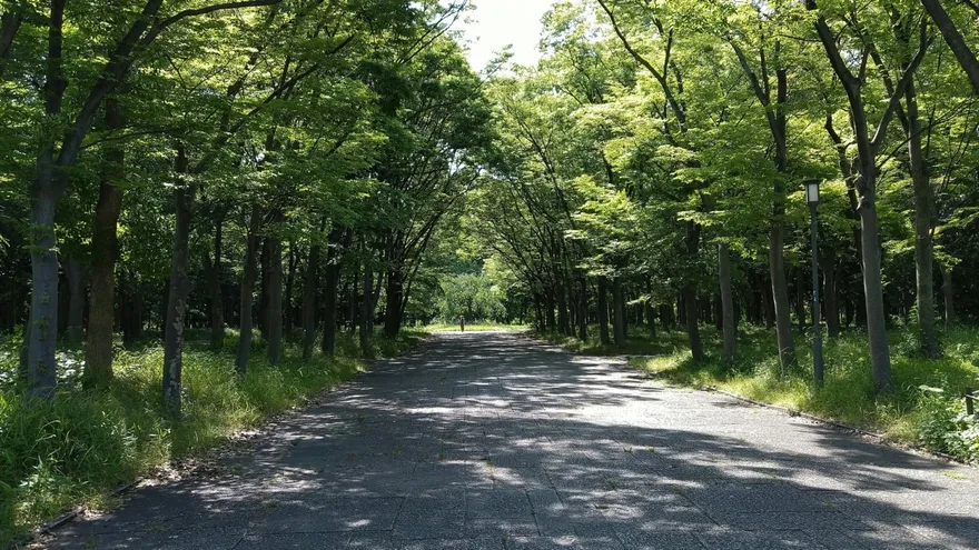 靈異錯別字/河堤轉角詭異失蹤1分鐘　女同學變成另一個人