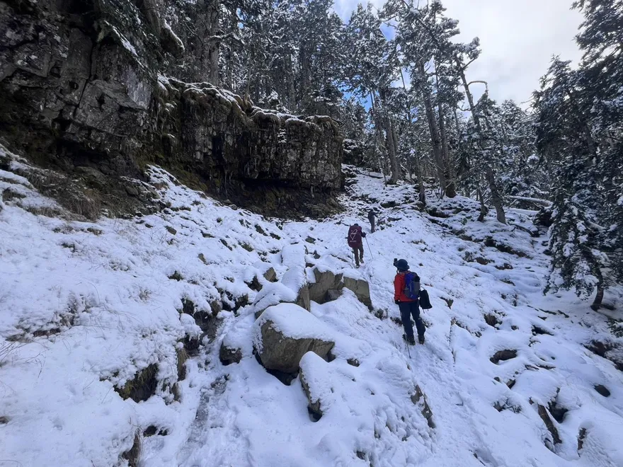 連2山友失溫喪命！雪管處：遇困難地形、天氣速撤退