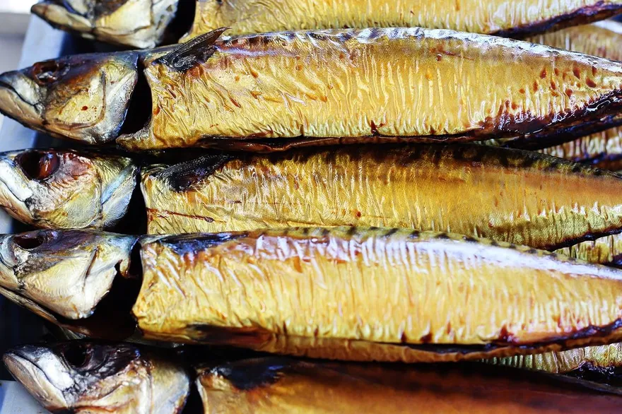 不是吃越多越好！營養師：天天吃鯖魚恐熱量爆表