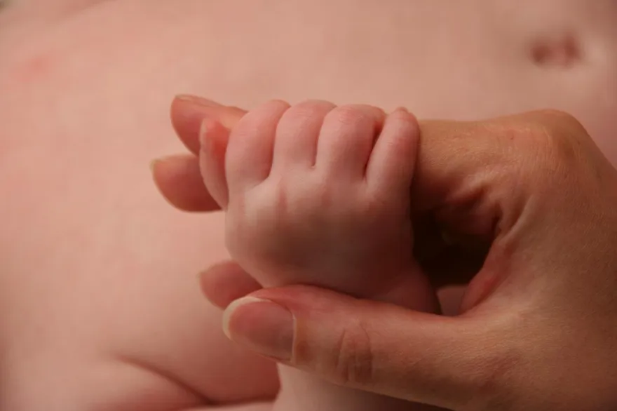 4484億「少子化對策」經費僅任務編組！蘇一峰轟政府：到底花到哪裡去了？