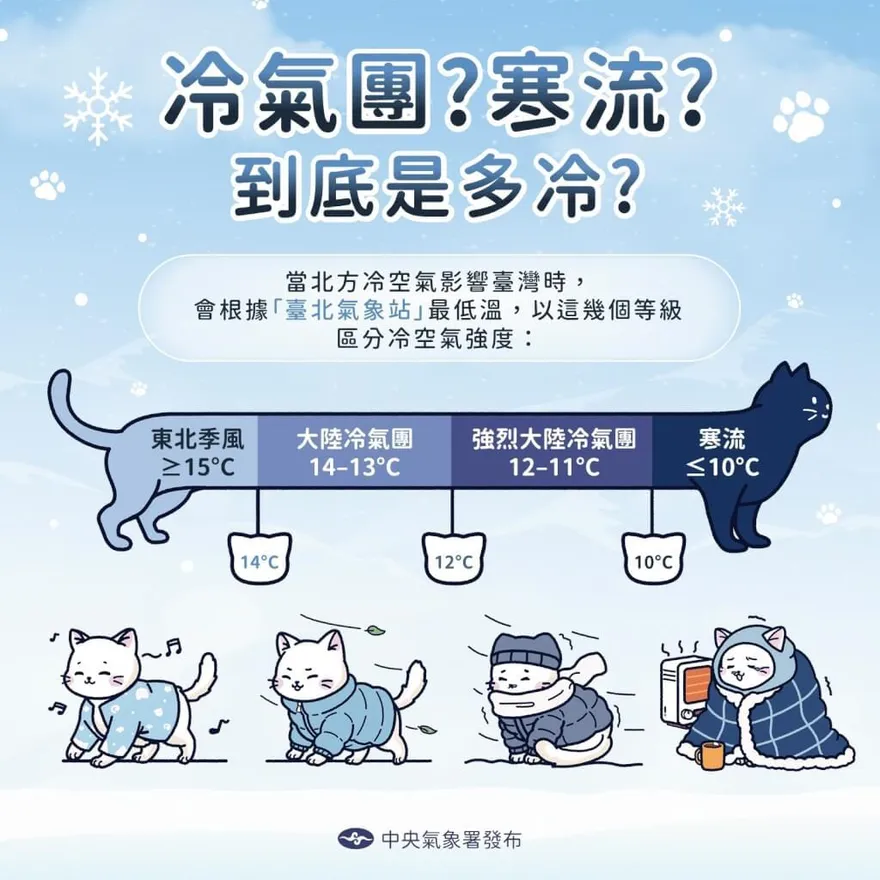 冷到發抖還不算寒流！　氣象署「貓咪圖解」一次看懂分級