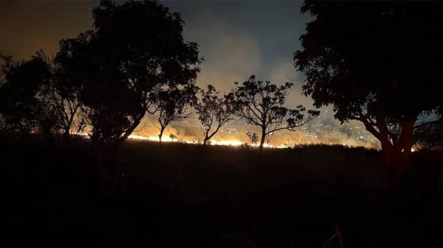 冬天惡夢再現！台中沙鹿山林大火　消防隊奮戰救火