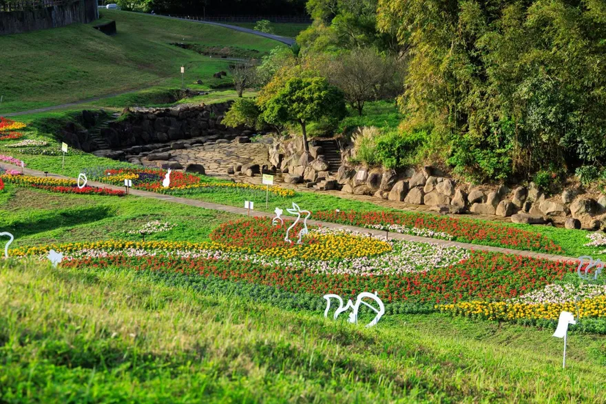 花期到2月！北市大溝溪花海綻放　紫紅花毯打造水紋意象