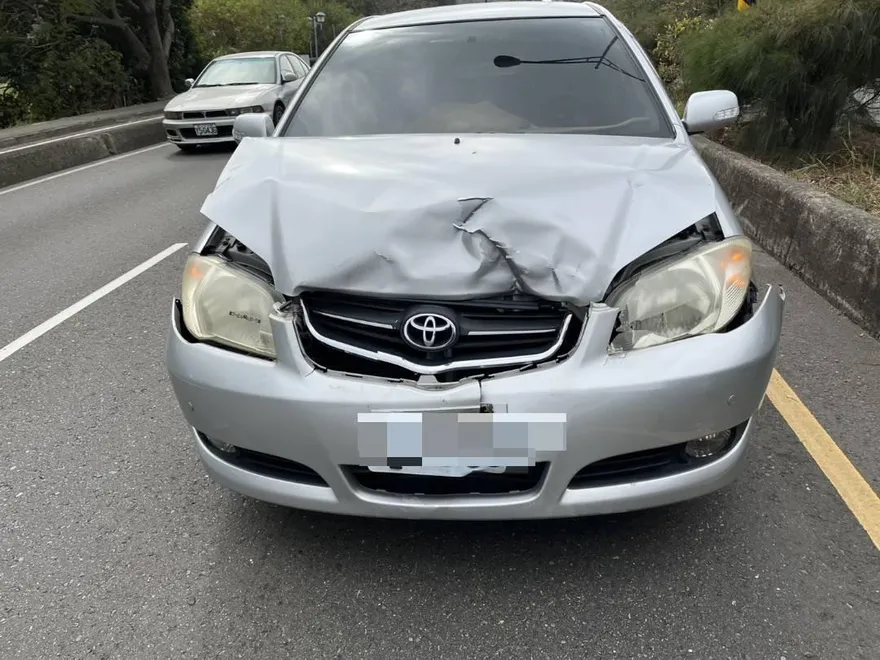 駕駛嚇傻！彰化水鹿碰撞轎車「騰空翻滾」　車頭還卡鹿毛