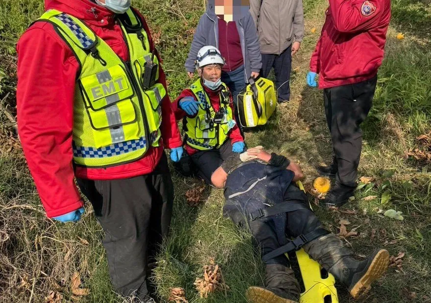 「我沒辦法呼吸」苗栗61歲男除草遭虎頭蜂群攻擊　插管命危