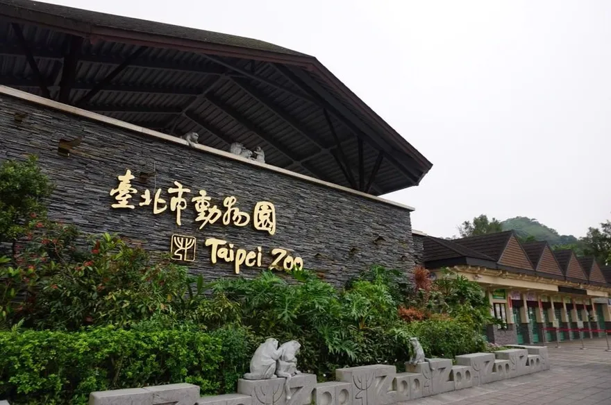 台日動物園13年友好！馬來熊「小熊妹」、「熊霸」抵日保育