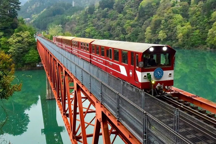 影/阿里山林鐵、日本大井川鐵道40年友誼！新塗裝列車1/23行駛