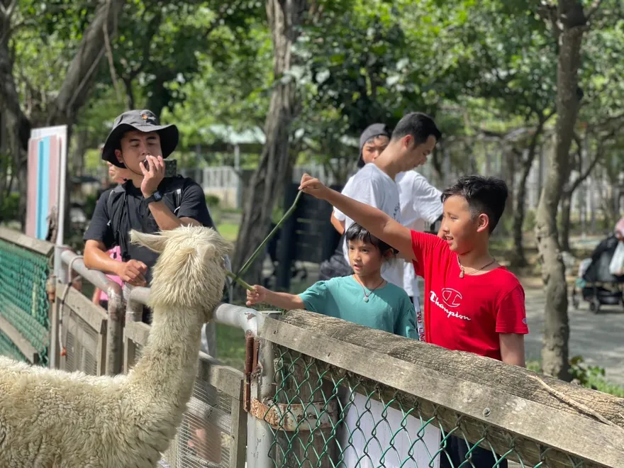 南台灣遛小孩好去處！頑皮世界水豚近距離互動　生態划船體驗
