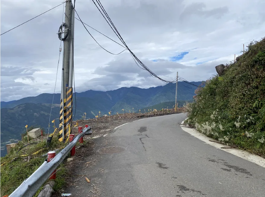 新竹「大鹿林道」火災跡地復育造林　24K路段交管至明年1月