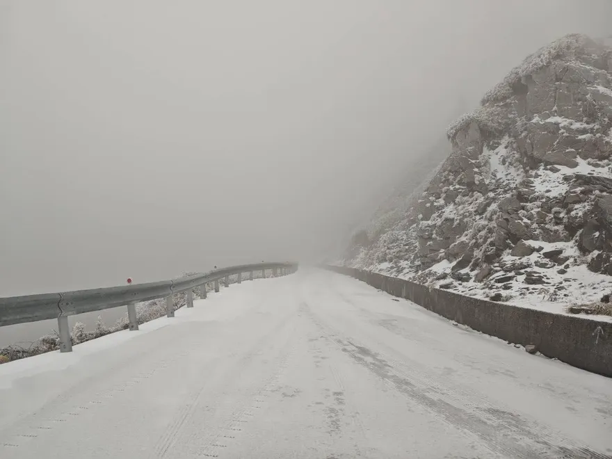 中橫化身「銀白世界」　鳶峰至大禹嶺限加掛雪鏈通行