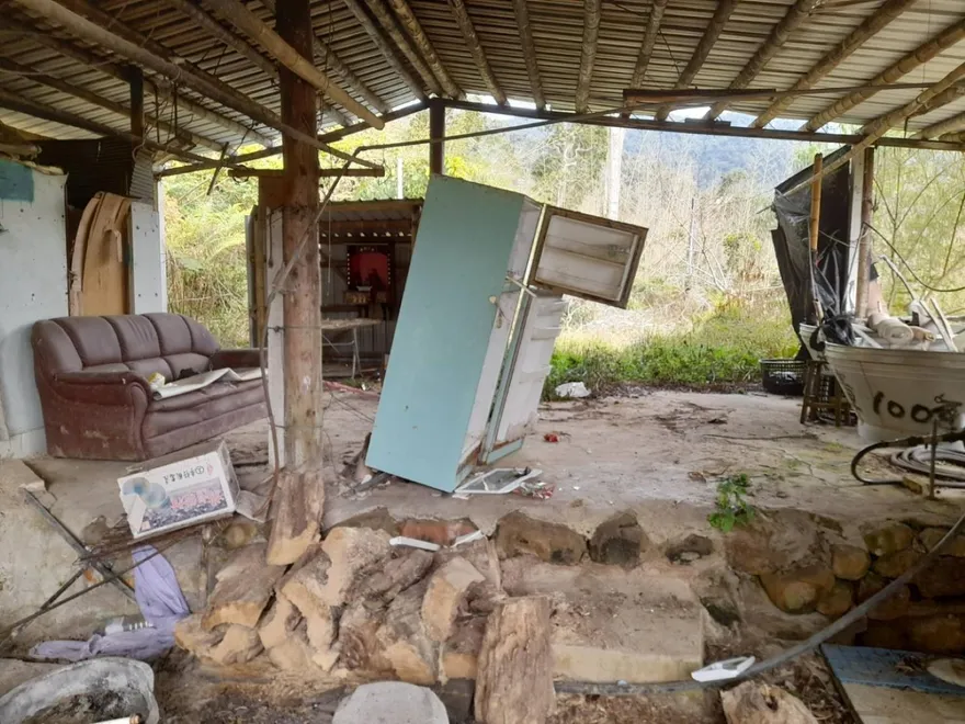 冰箱都被推倒！阿里山黑熊月闖9次　林保署展開誘捕野放