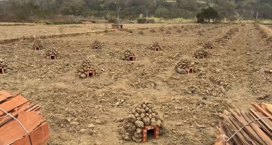 壯觀！苗栗通霄230座焢窯　遭網友誤認「小型墳塚」