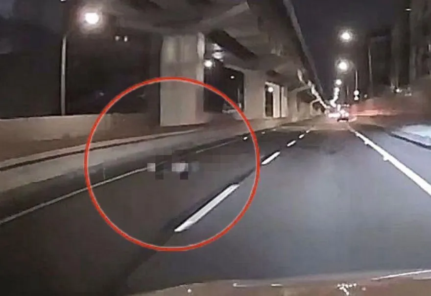 根本沒有發酒瘋踹椅子！新北「學霸遭丟包慘被輾死」真相曝光