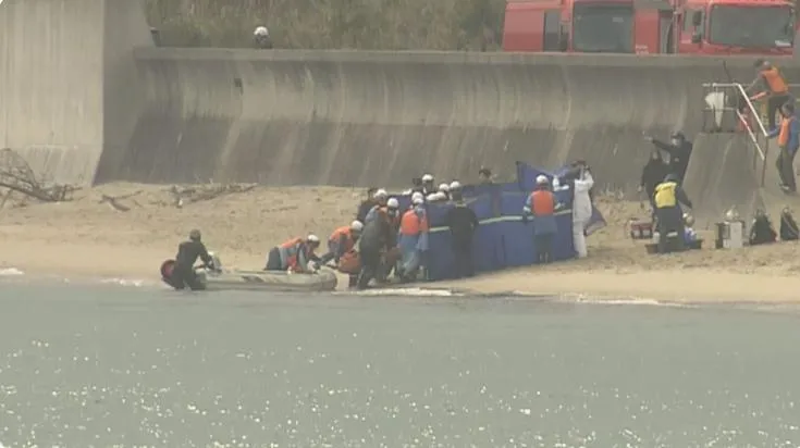 台潛水員赴日幫忙尋二戰遺骨　水中抽搐不幸身亡