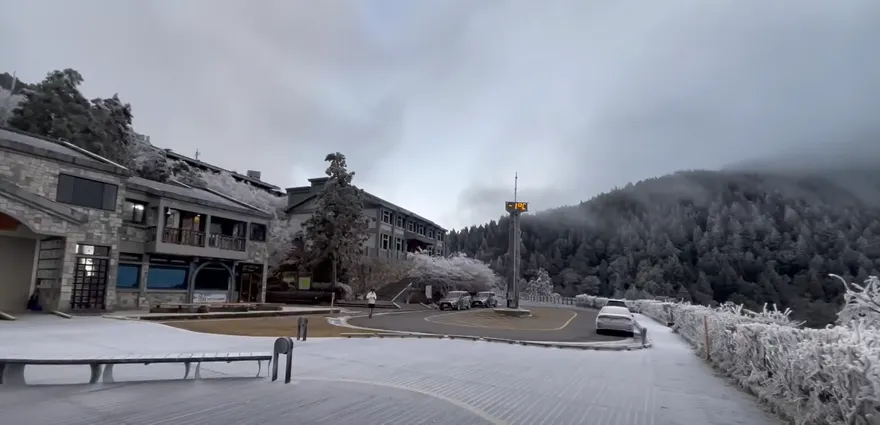 太平山今晨零下1度低溫　夢幻霧淞美景曝光