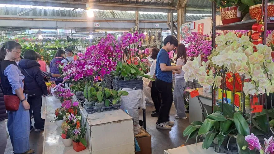 大里國光花市湧現人潮　今起連續營業至2/22