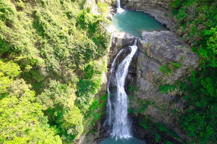 桃園春節景點除夕休園！年初一起全面迎客