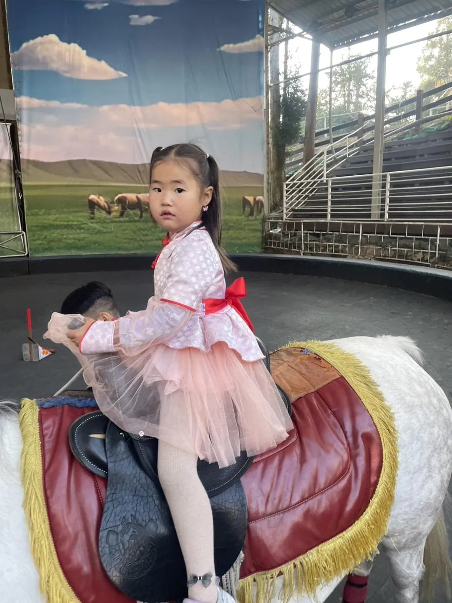 影/「萌娃」助陣！ 清境農場馬年「騎馬樂」開跑　騎乘抽盲盒